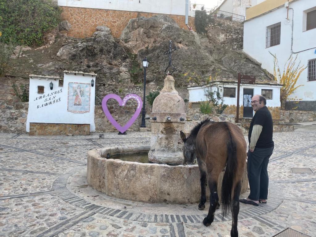 Casa El Higueral Villa Mecina Alfahar Bagian luar foto